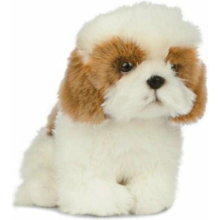 Shih Tzu Kuschelgefährte