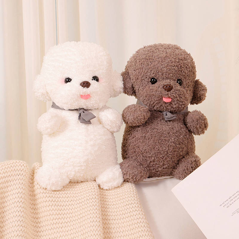 Flauschiger Bichon Frise