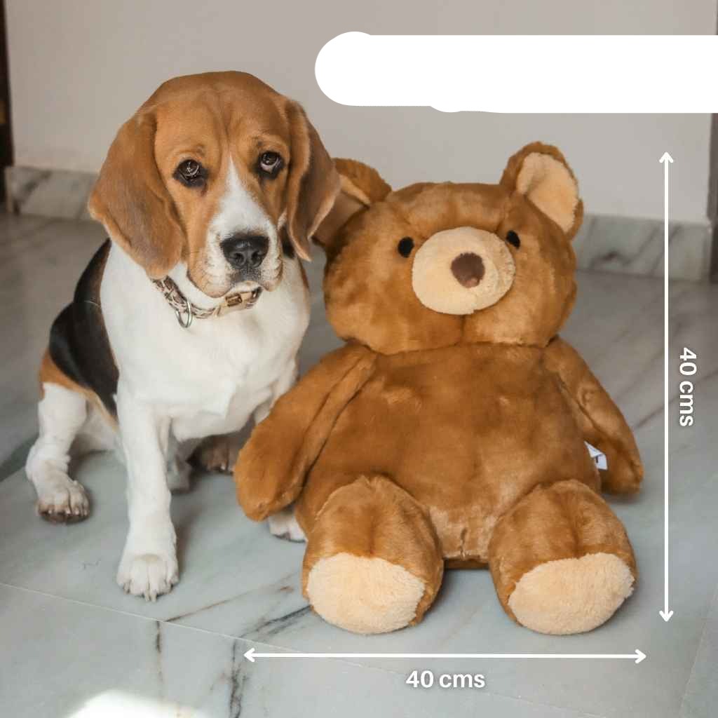 Teddybär-Spielzeug für Haustiere