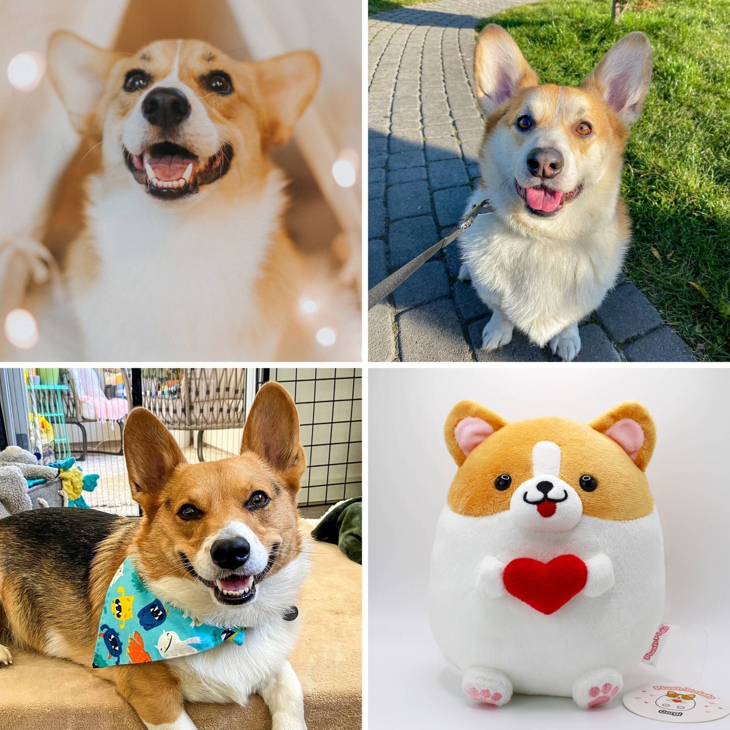 Herz-Corgi Kuscheltier