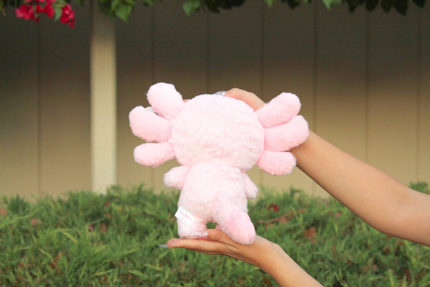 Süßer Maxolotl Kuschelaxolotl