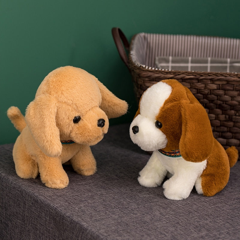 Charmeur - Golden Retriever mit Azteken-Halsband