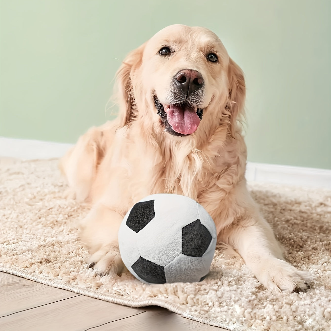 Fußball - Plüsch Quietschspielzeug