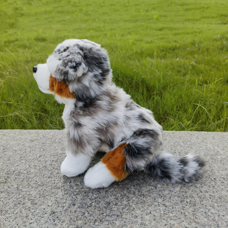 Kuscheliger Aussie Gefährte