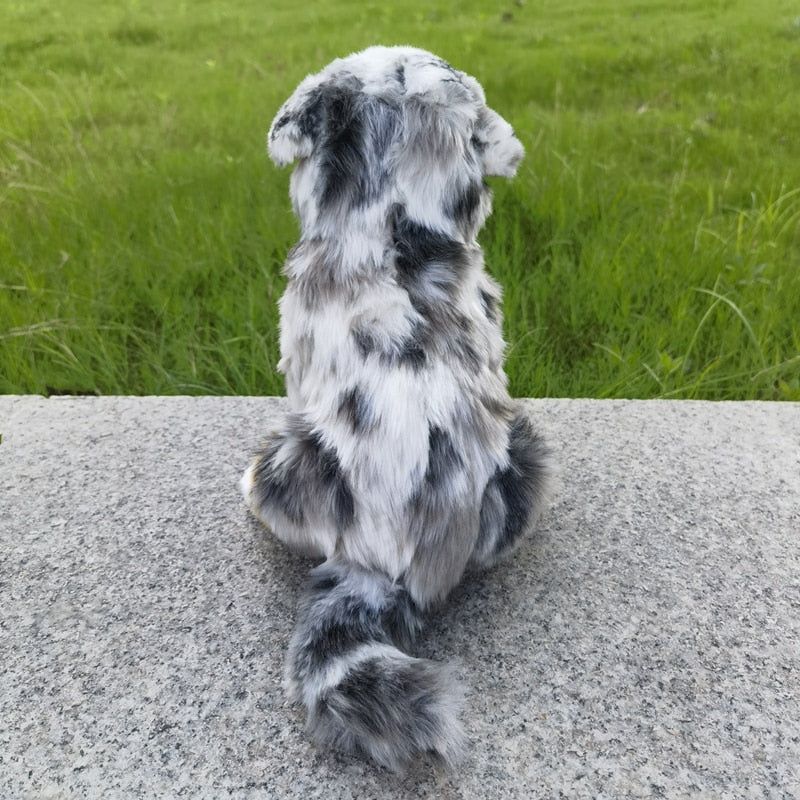 Kuscheliger Aussie Gefährte