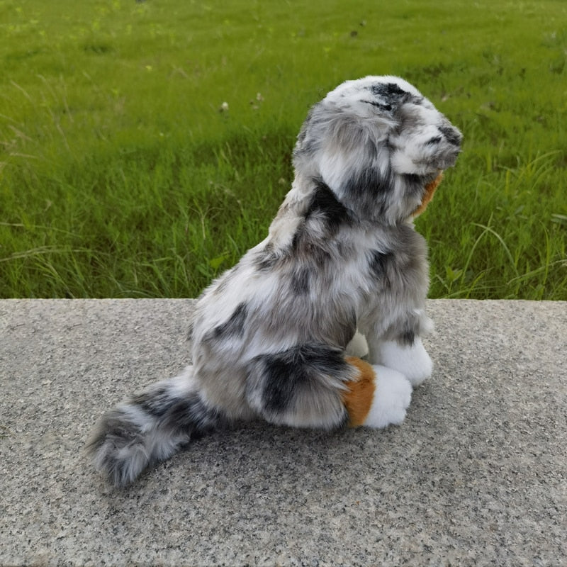 Kuscheliger Aussie Gefährte