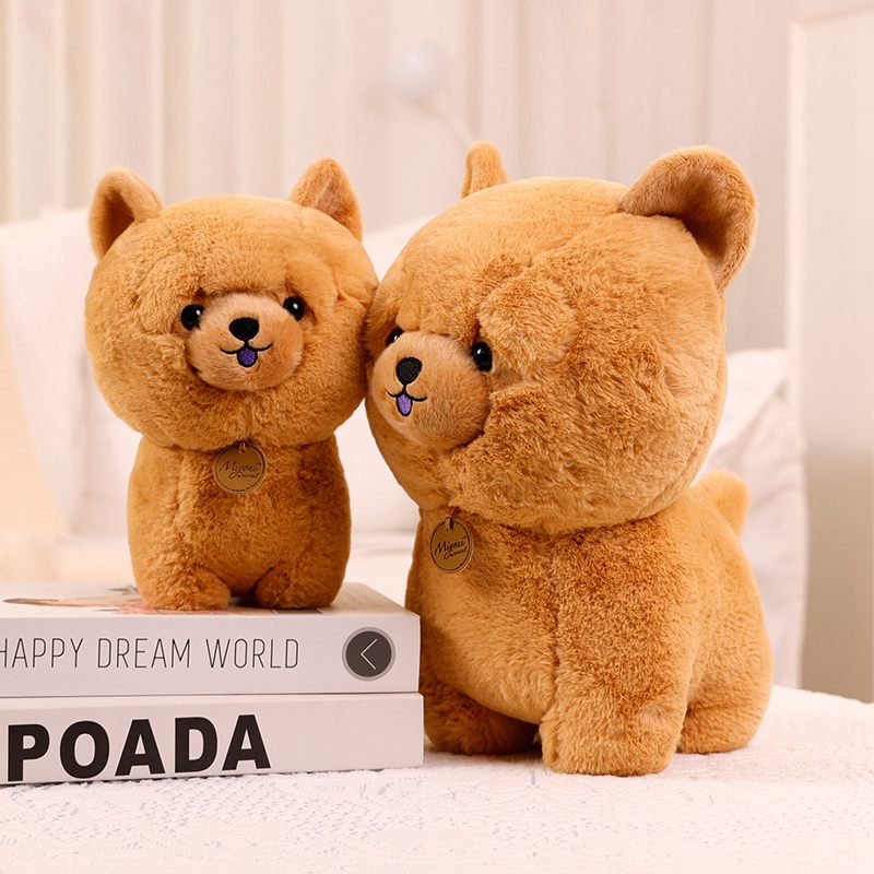 Kuscheliger Knuddel-Chow