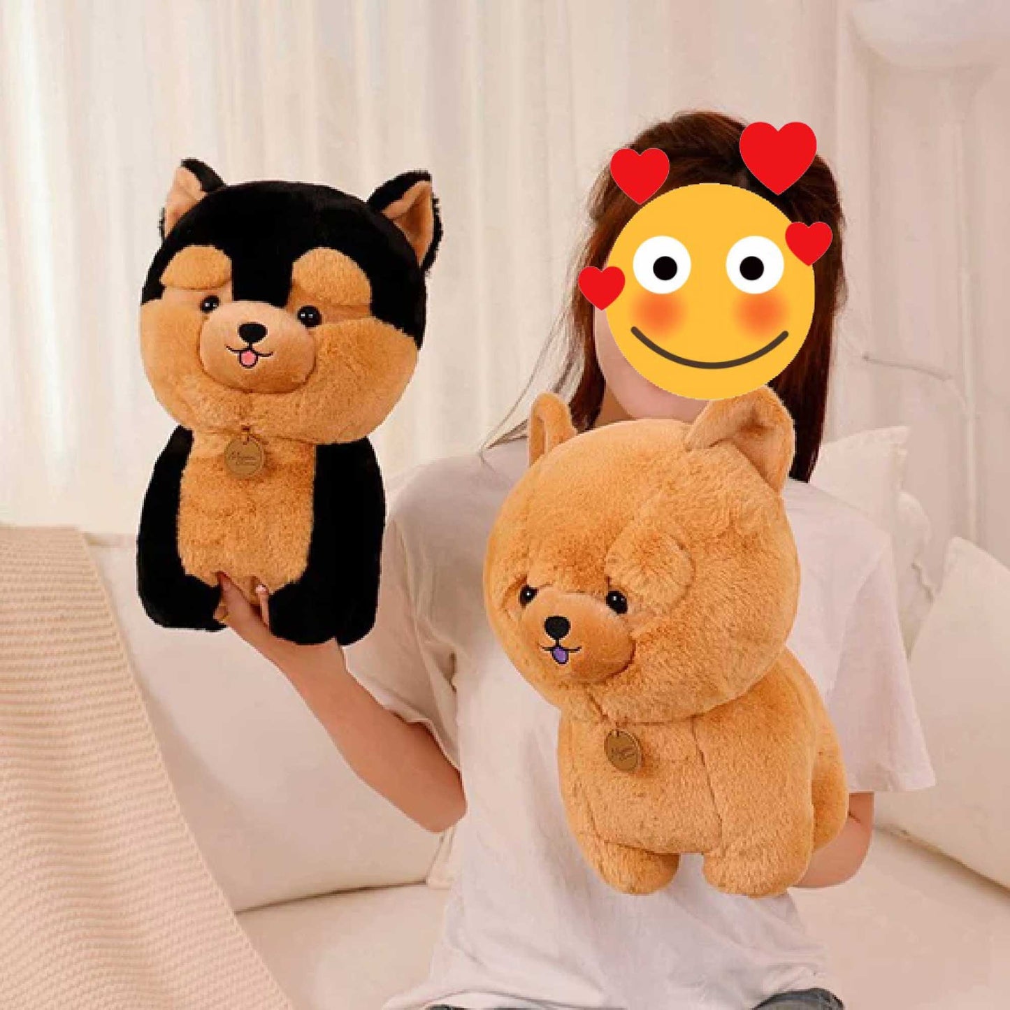 Kuscheliger Knuddel-Chow
