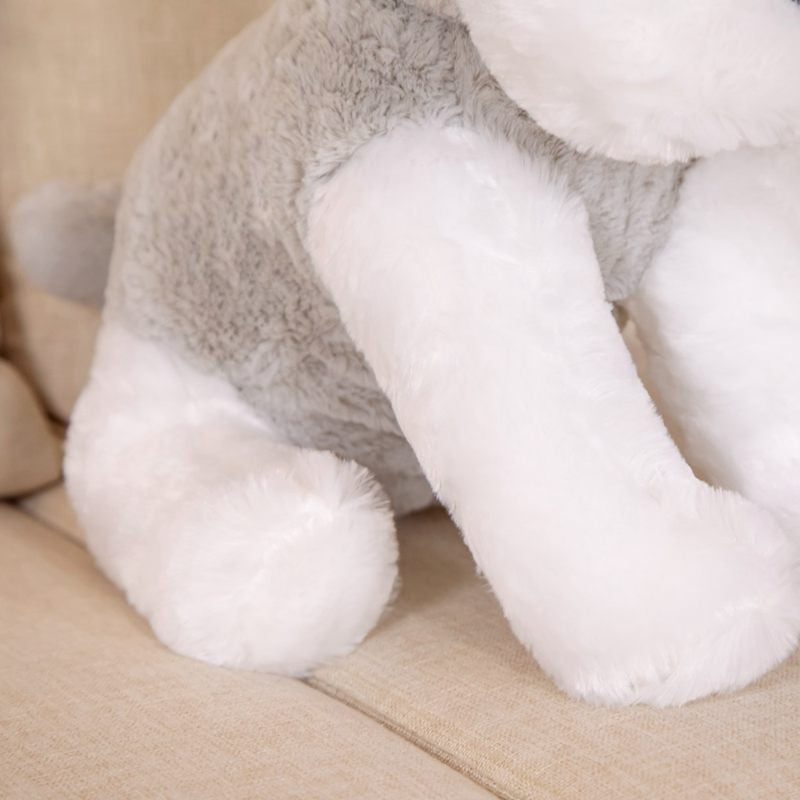 Kuscheliger Schnauzerfreund