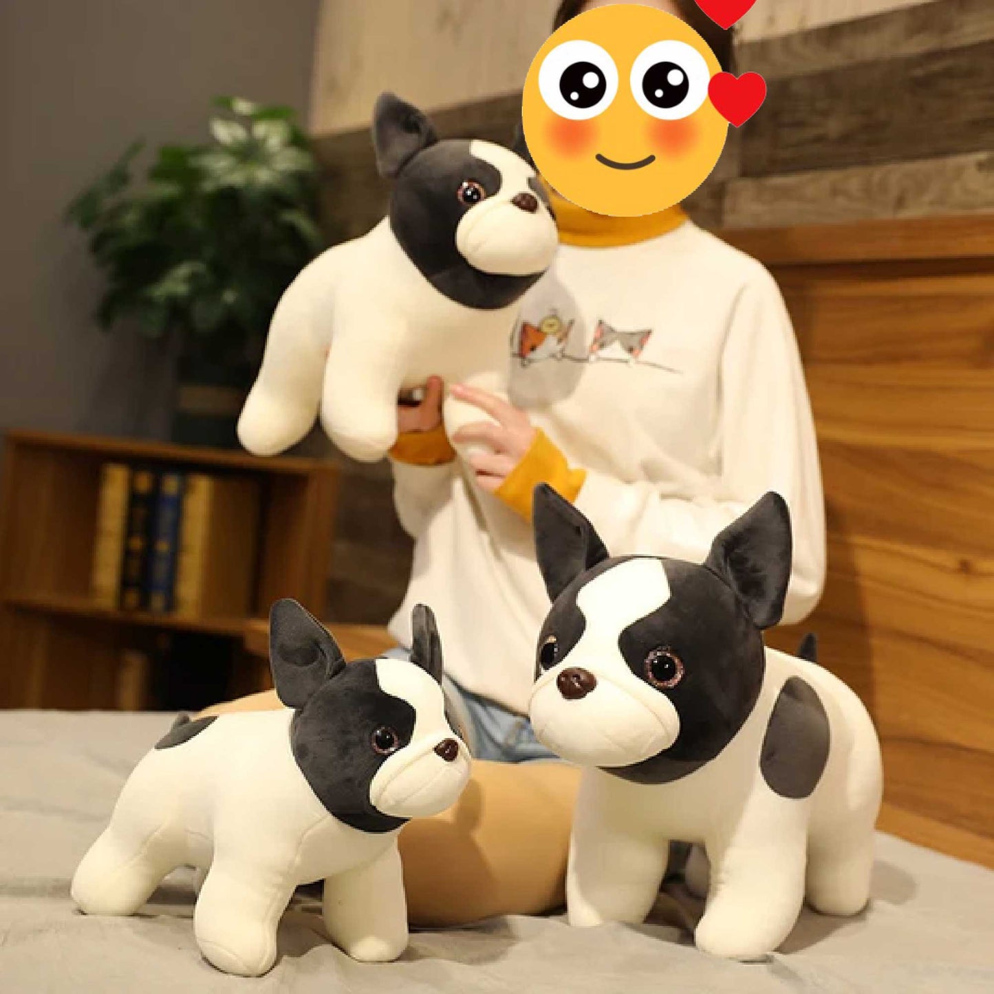 Treuer Blick Boston Terrier