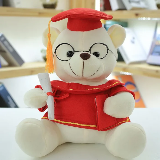 Teddy graduation geschenk feier dein stolz