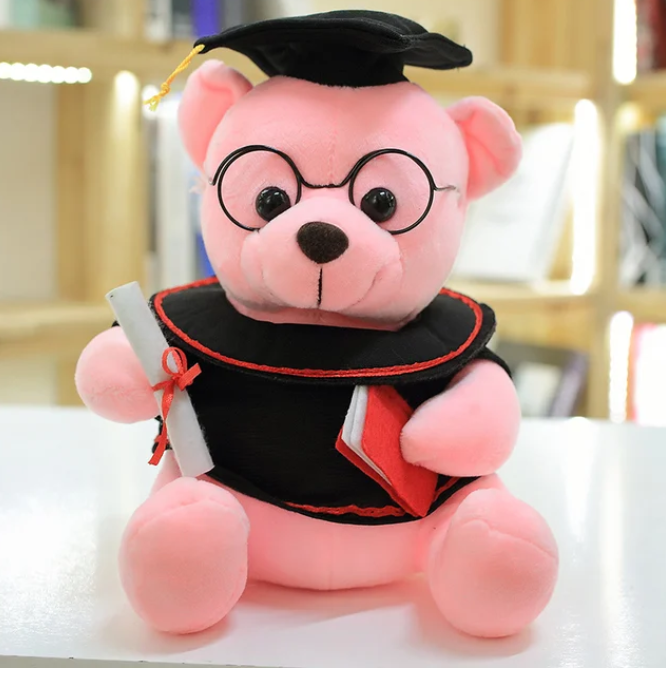 Teddy graduation geschenk feier dein stolz