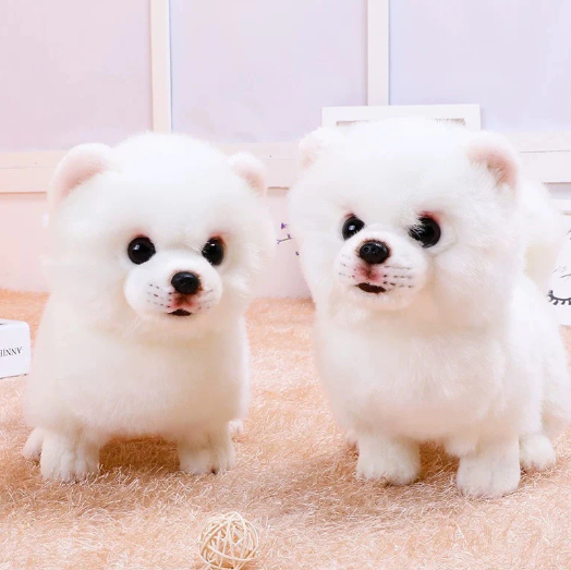 Realistischer Plüsch Pomeranian