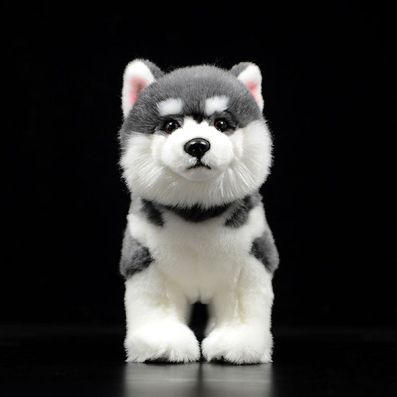 Polarfreund - Stehender Husky Plüsch