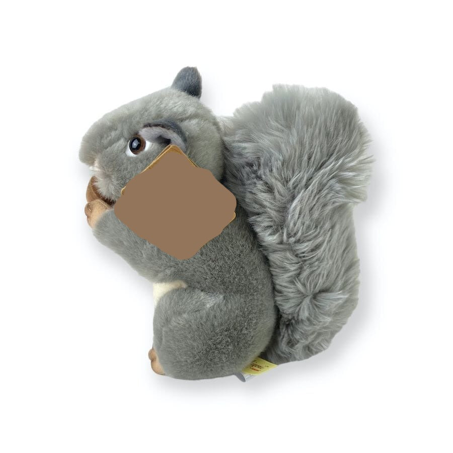 Amerikanisches Grauhörnchen