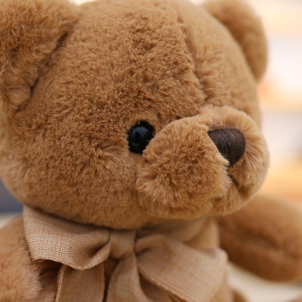 Schmusefreund - Kuschelweicher Teddy