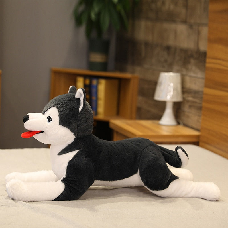 Jetzt Lebensgroßer Husky Welpe Stofftier (ca. 70cm) bei Kuscheltiere.store kaufen