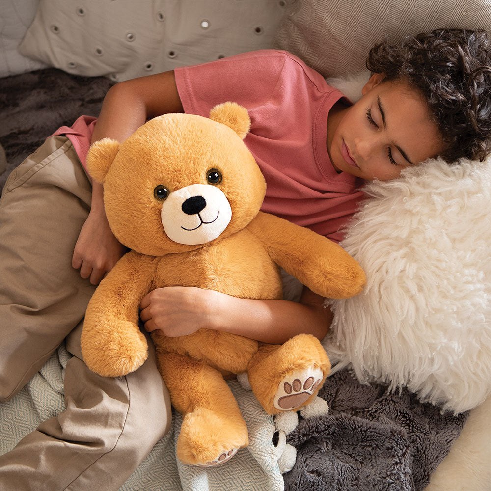 Hugsy der Teddybär