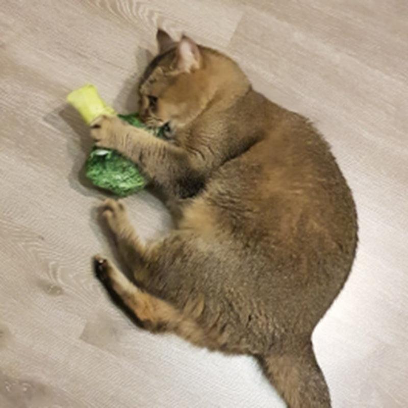 Quietschendes Katzen- und Hundespielzeug