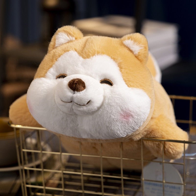 Flauschiger Husky Kuschelplüsch