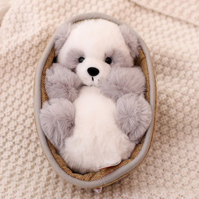 Bezaubernde Baby-Panda-Plüschtiere