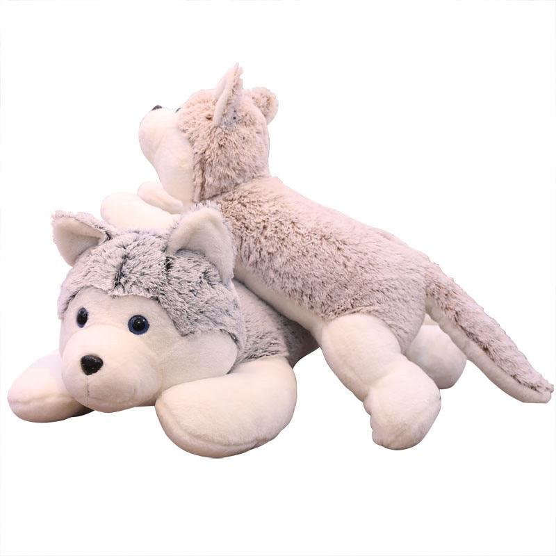 Riesen-Kuschelhusky