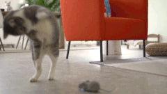 Drahtlose elektronische Fernsteuerung Ratte Plüsch RC Maus Spielzeug