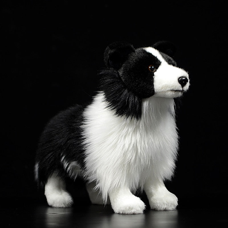 Edler Border Collie Plüschhund