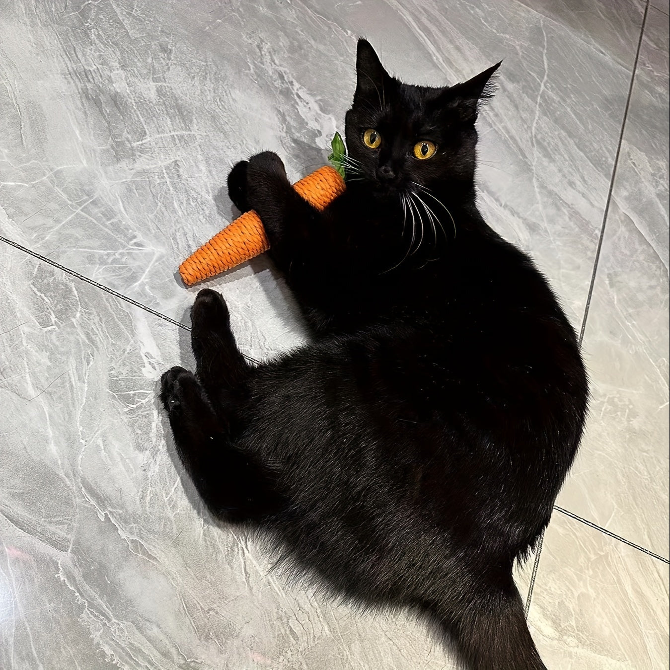 Lustige Karotten-Kauspielzeug für Haustiere