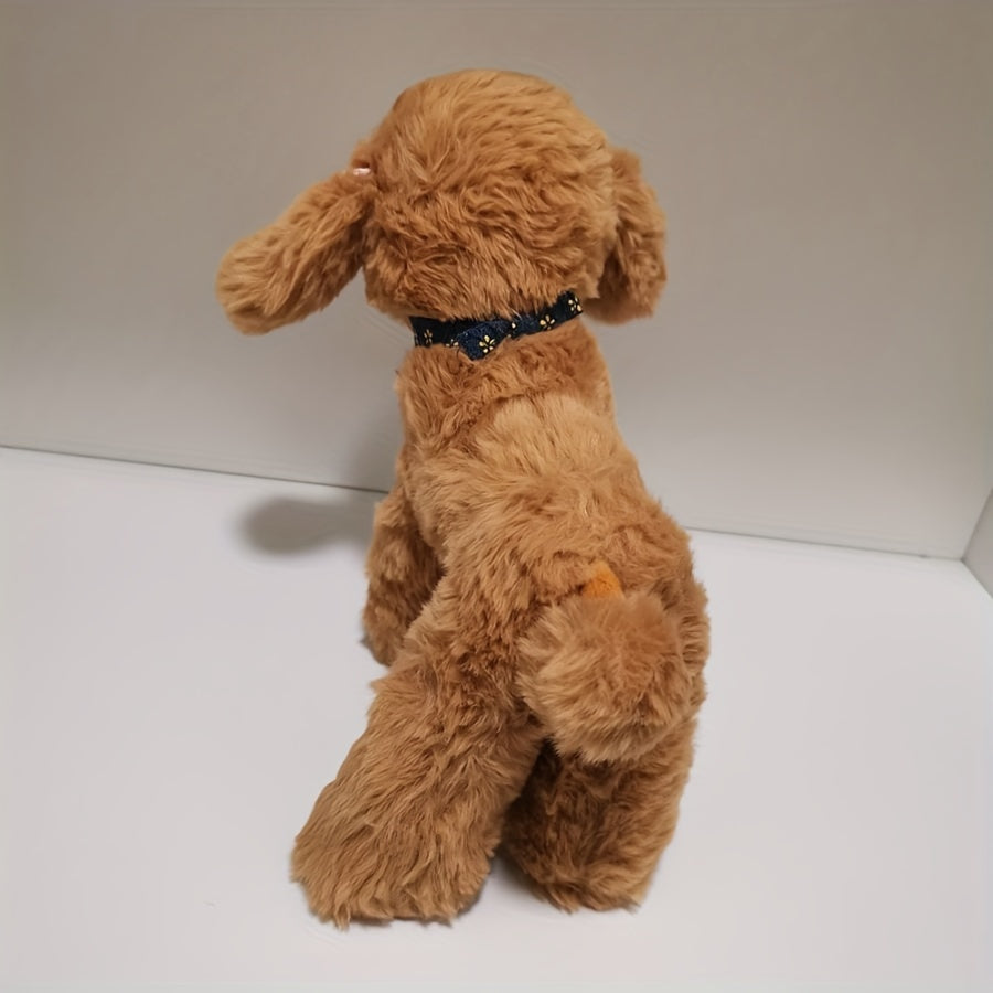 Hund - Teddybär