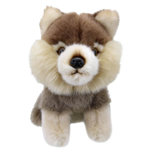 Mini-Wolf - Kuscheliger Gefährte