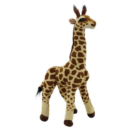 Giraffenfreund – Langer Hals, großer Spaß