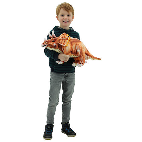 Timmy Triceratops - Abenteuerlicher Spielgefährte