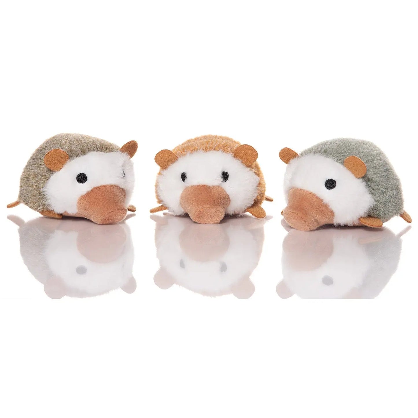 Pflegender Nissa Igel