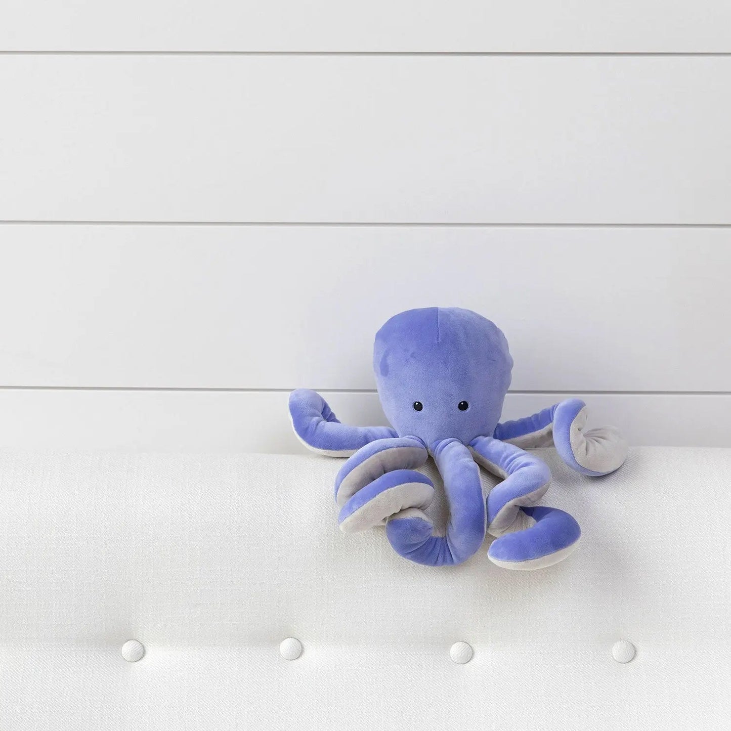 Samtiger Oktopus