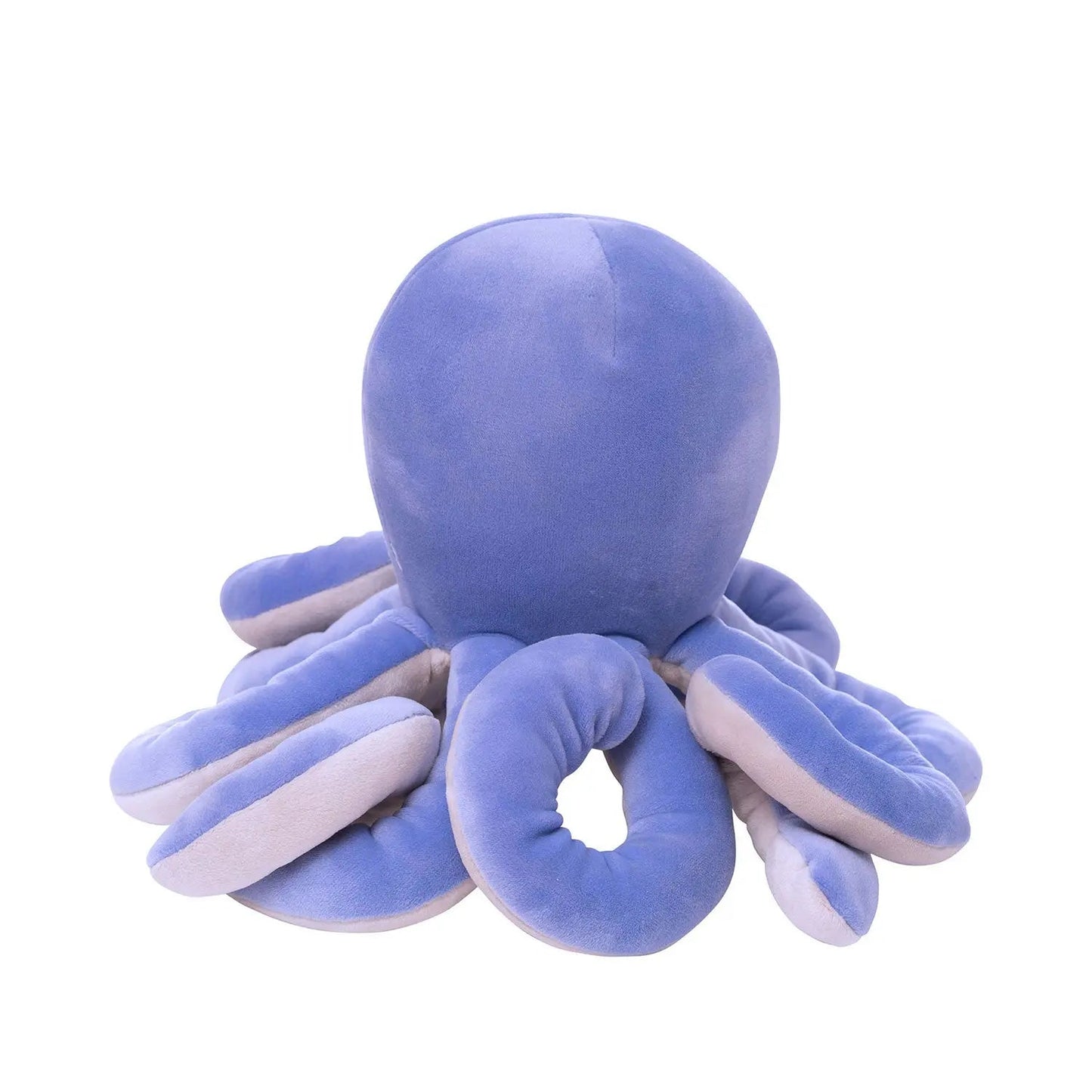 Samtiger Oktopus