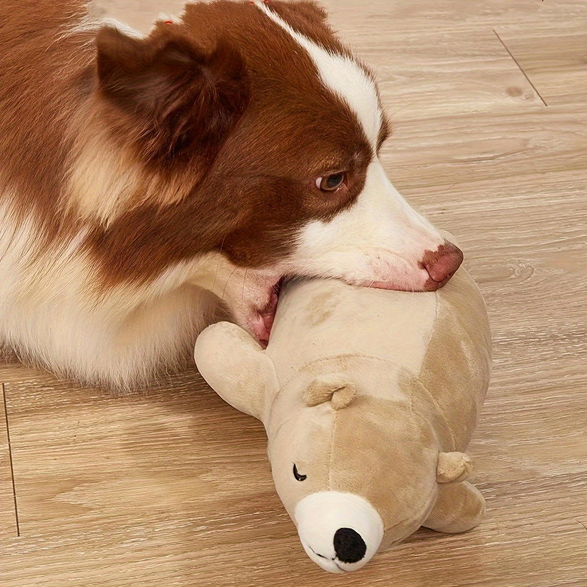 Gemütlicher Plüsch-Bärenhundespielzeug