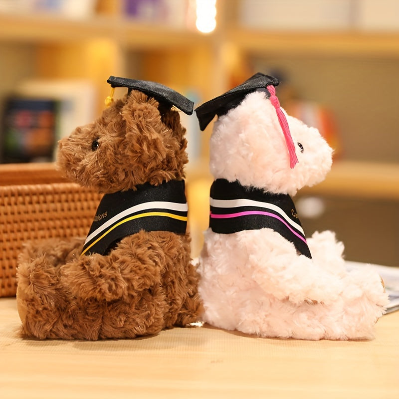 Graduation teddy mit doktorhut