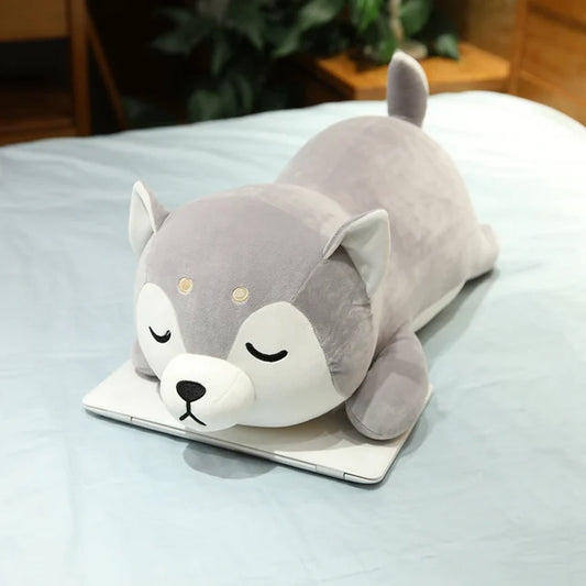 Kuschel-Shiba Inu Gefährte
