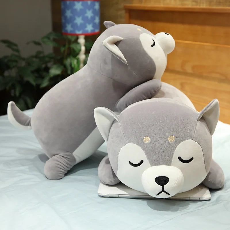 Kuschel-Shiba Inu Gefährte