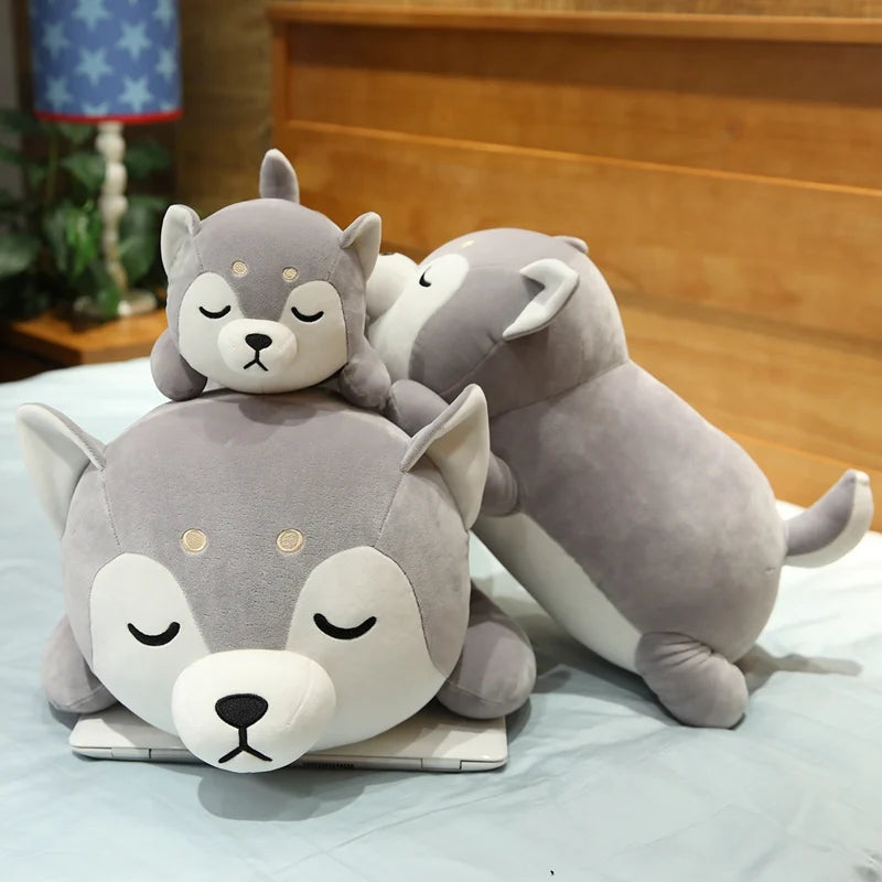 Kuschel-Shiba Inu Gefährte