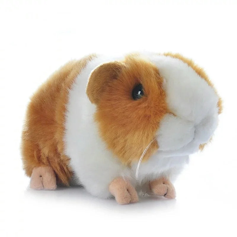 Flauschiges Meerschweinchen