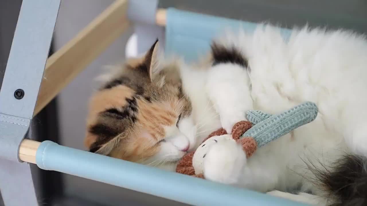 Handgestricktes Katzen-Kauspielzeug