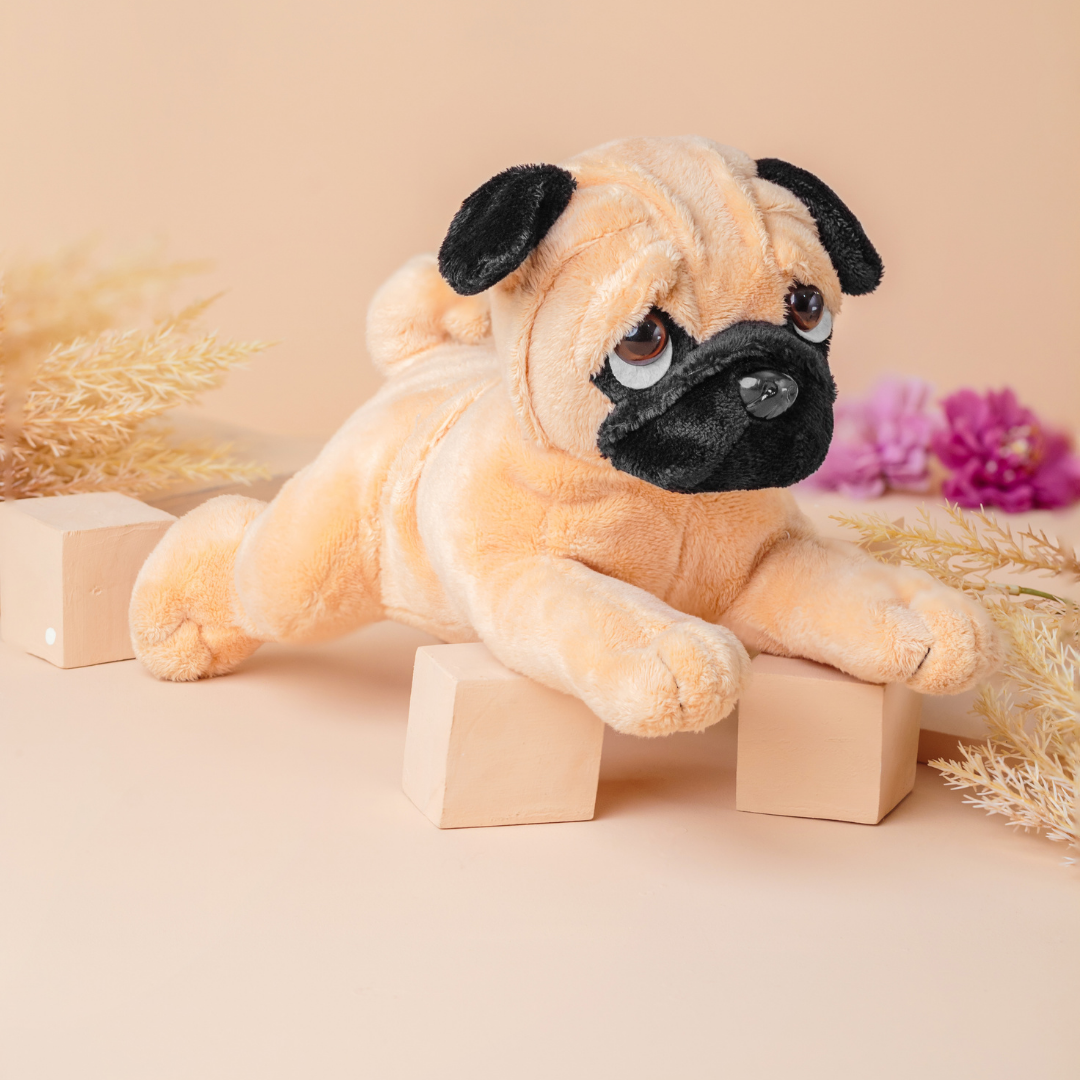 Puggy - Knuddeliger Spielkamerad