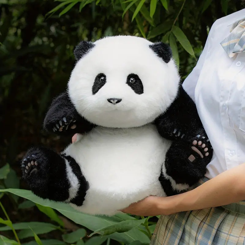 Kuscheltier Panda Plüsch als Liebesgeschenk