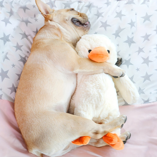 Enten Design Haustier Zahnspielzeug