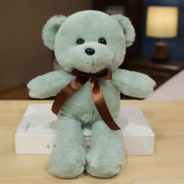 Schmusefreund Teddy Glückspilz