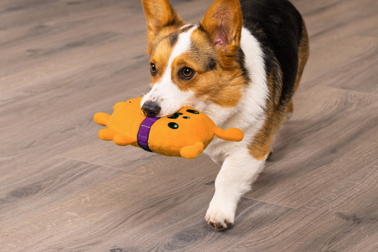Spielspaß Giggle Buddy