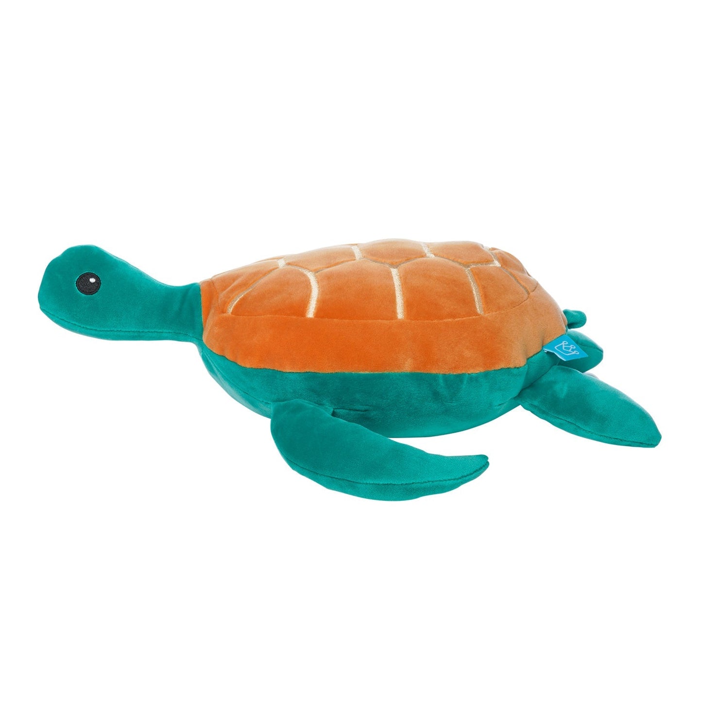 Samtige Salzwasserschildkröte