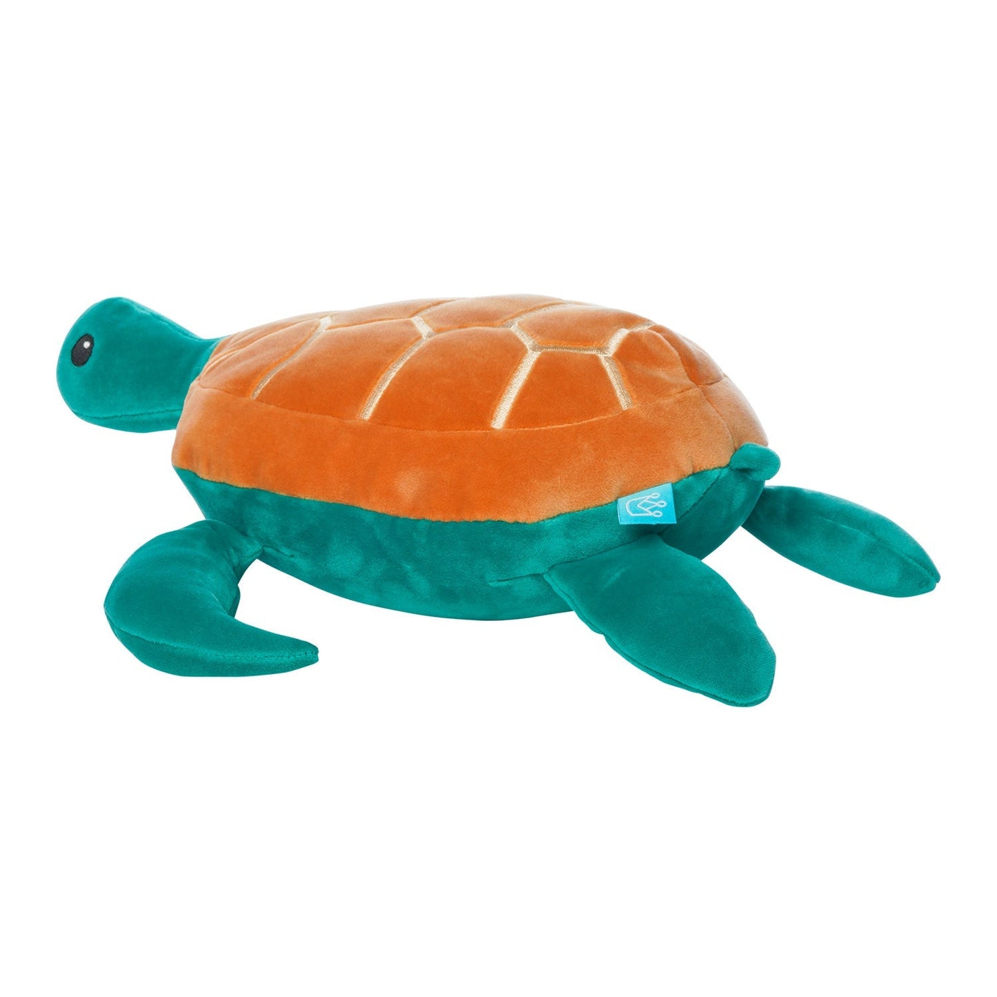 Samtige Salzwasserschildkröte